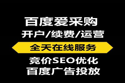 探索百度竞价代运营公司的成功之路